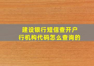 建设银行短信查开户行机构代码怎么查询的