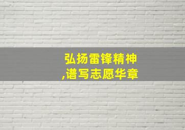 弘扬雷锋精神,谱写志愿华章