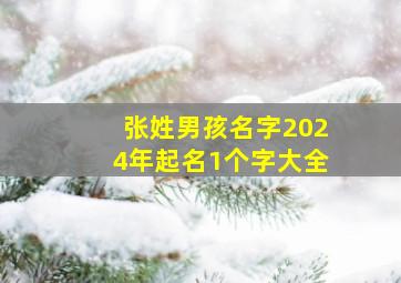 张姓男孩名字2024年起名1个字大全