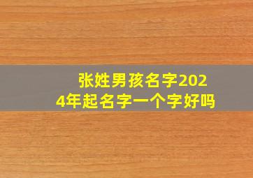 张姓男孩名字2024年起名字一个字好吗