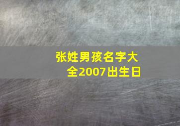 张姓男孩名字大全2007出生日