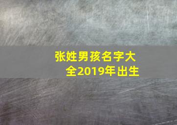 张姓男孩名字大全2019年出生