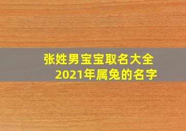 张姓男宝宝取名大全2021年属兔的名字