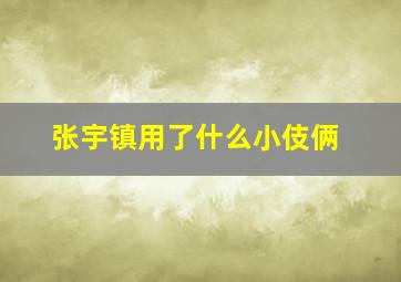 张宇镇用了什么小伎俩