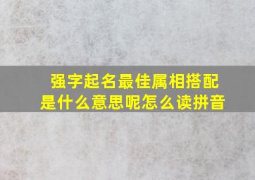 强字起名最佳属相搭配是什么意思呢怎么读拼音