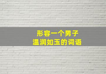 形容一个男子温润如玉的词语