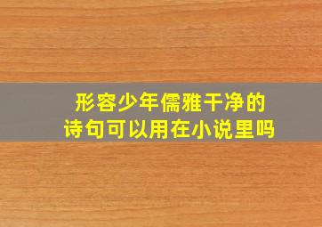 形容少年儒雅干净的诗句可以用在小说里吗