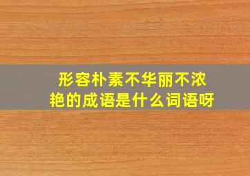 形容朴素不华丽不浓艳的成语是什么词语呀