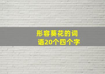 形容葵花的词语20个四个字