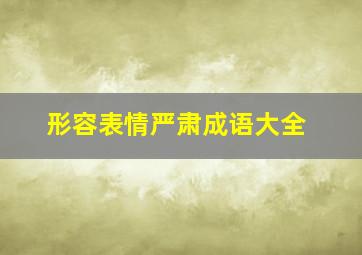 形容表情严肃成语大全