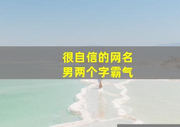 很自信的网名男两个字霸气