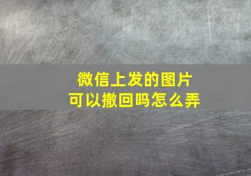 微信上发的图片可以撤回吗怎么弄