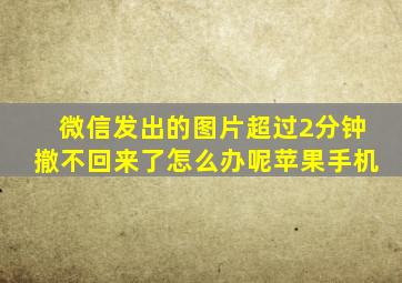 微信发出的图片超过2分钟撤不回来了怎么办呢苹果手机