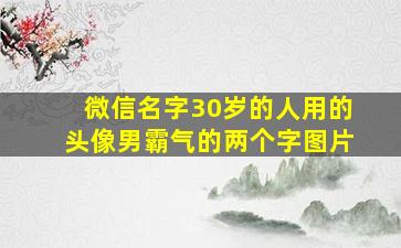 微信名字30岁的人用的头像男霸气的两个字图片