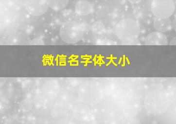 微信名字体大小