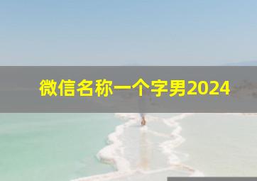 微信名称一个字男2024