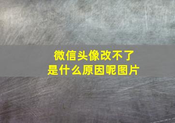 微信头像改不了是什么原因呢图片