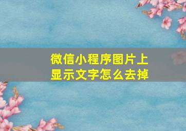 微信小程序图片上显示文字怎么去掉