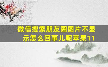 微信搜索朋友圈图片不显示怎么回事儿呢苹果11