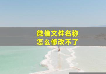 微信文件名称怎么修改不了