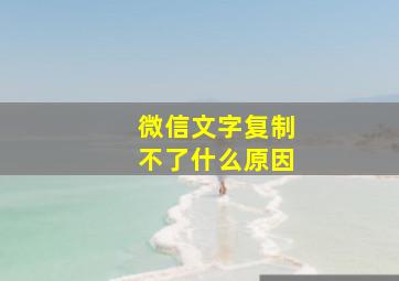 微信文字复制不了什么原因