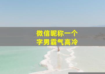 微信昵称一个字男霸气高冷