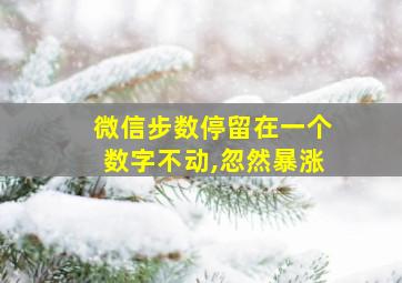 微信步数停留在一个数字不动,忽然暴涨