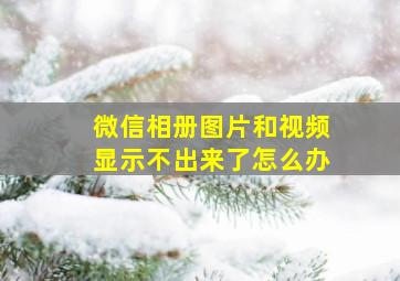 微信相册图片和视频显示不出来了怎么办