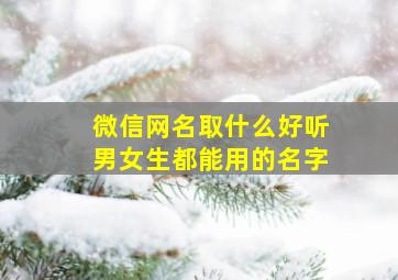 微信网名取什么好听男女生都能用的名字