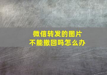 微信转发的图片不能撤回吗怎么办