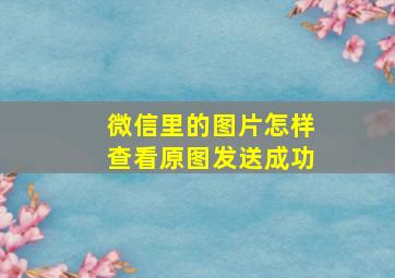 微信里的图片怎样查看原图发送成功