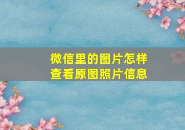 微信里的图片怎样查看原图照片信息