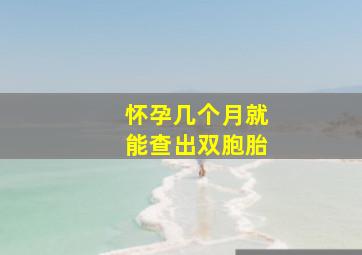 怀孕几个月就能查出双胞胎