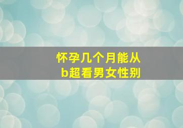 怀孕几个月能从b超看男女性别