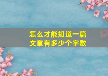 怎么才能知道一篇文章有多少个字数