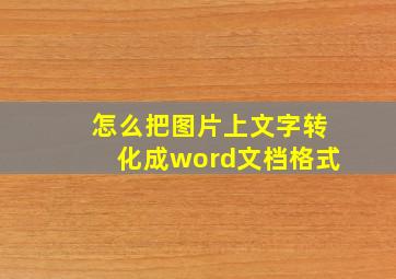 怎么把图片上文字转化成word文档格式