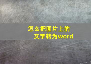 怎么把图片上的文字转为word