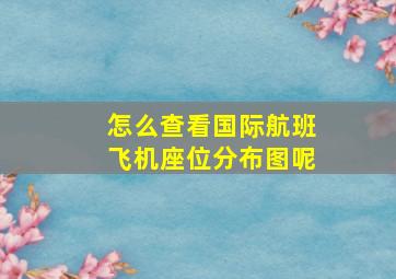 怎么查看国际航班飞机座位分布图呢