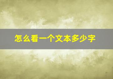 怎么看一个文本多少字