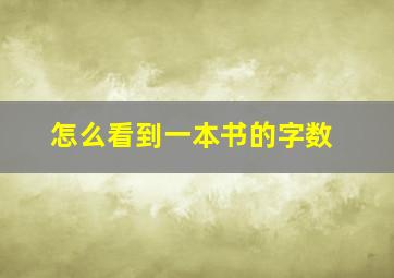 怎么看到一本书的字数