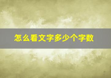 怎么看文字多少个字数