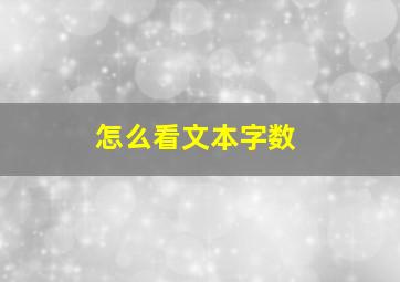 怎么看文本字数