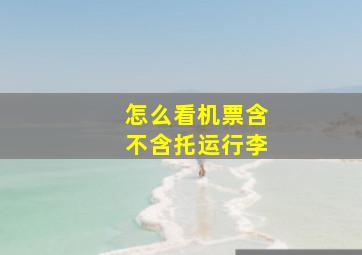 怎么看机票含不含托运行李