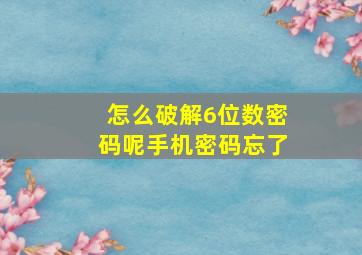 怎么破解6位数密码呢手机密码忘了