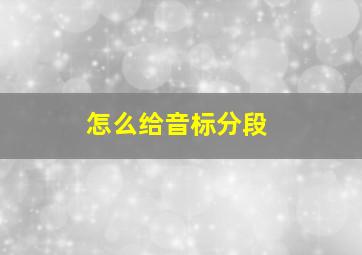 怎么给音标分段