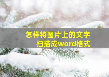 怎样将图片上的文字扫描成word格式