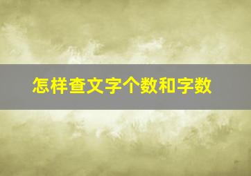 怎样查文字个数和字数