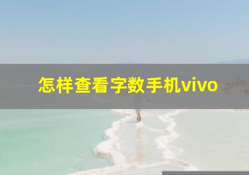 怎样查看字数手机vivo