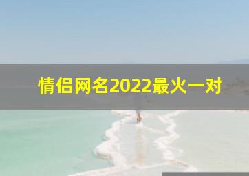 情侣网名2022最火一对