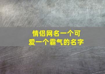 情侣网名一个可爱一个霸气的名字